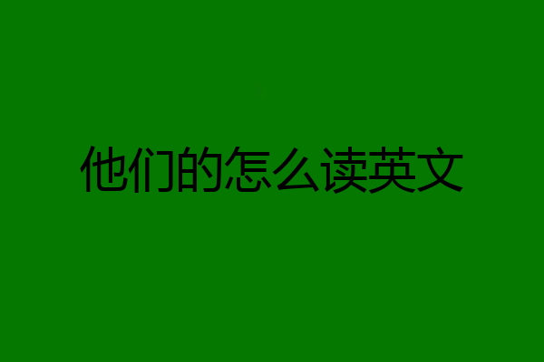 他们的怎么读英文