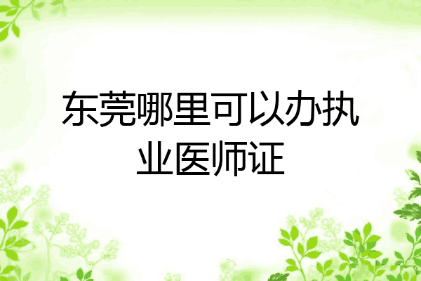 东莞哪里可以办执业医师证