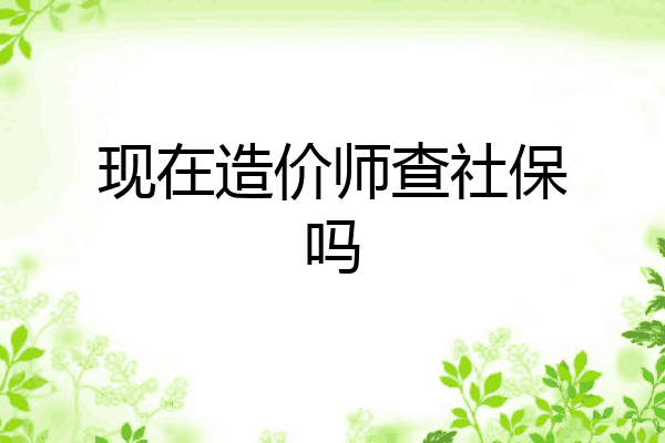 现在造价师查社保吗