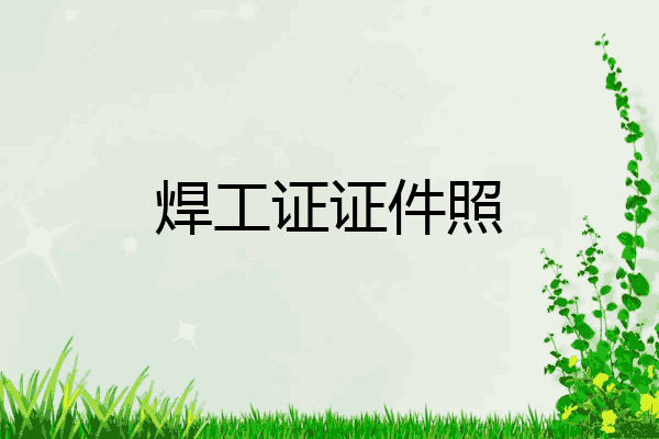 焊工证证件照