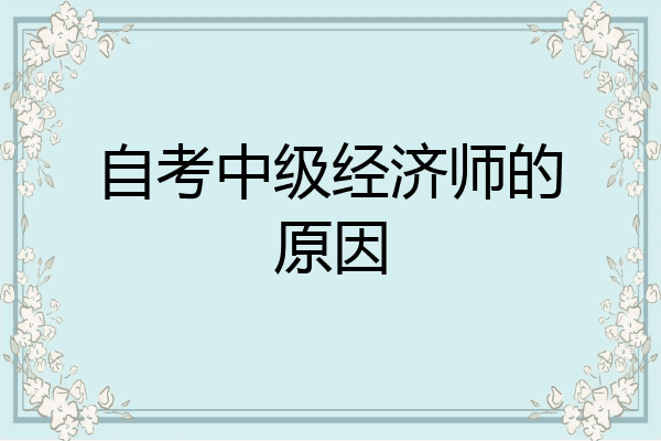自考中级经济师的原因