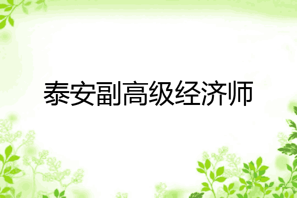 泰安副高级经济师