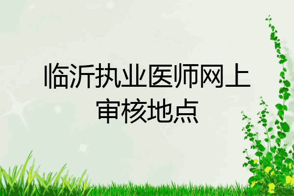 临沂执业医师网上审核地点