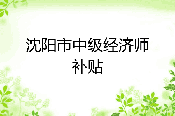 沈阳市中级经济师补贴