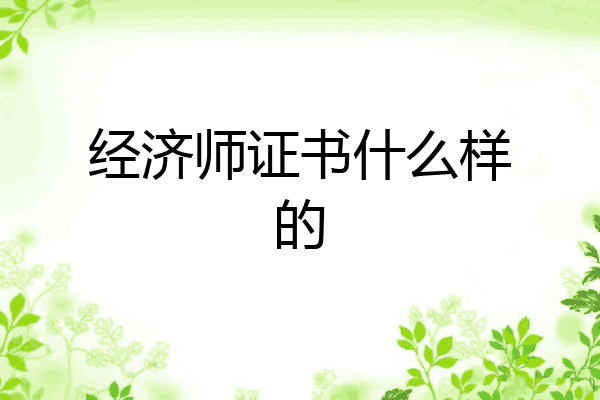 经济师证书什么样的