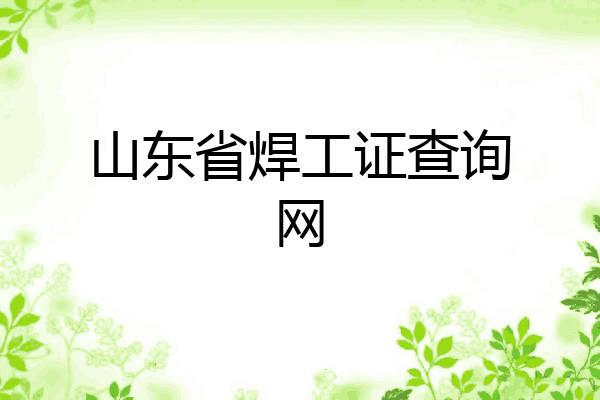山东省焊工证查询网
