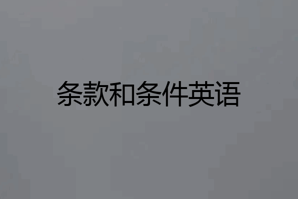 条款和条件英语