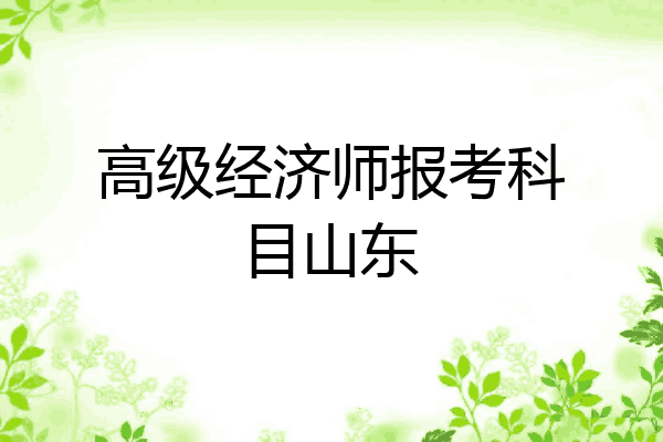 高级经济师报考科目山东