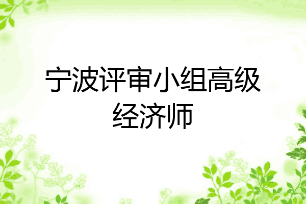 宁波评审小组高级经济师