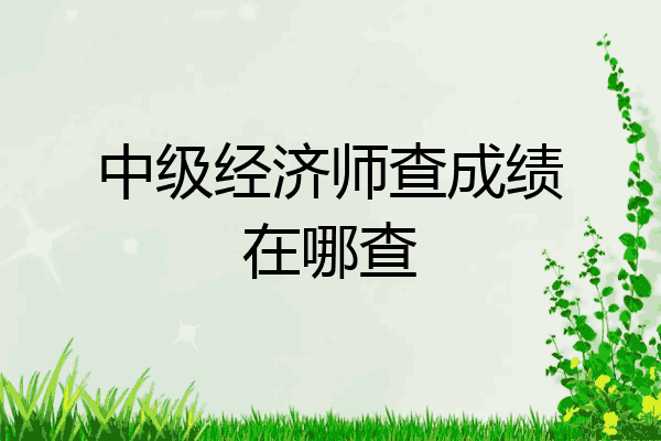 中级经济师查成绩在哪查