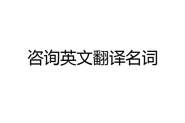 咨询英文翻译名词