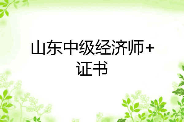 山东中级经济师+证书