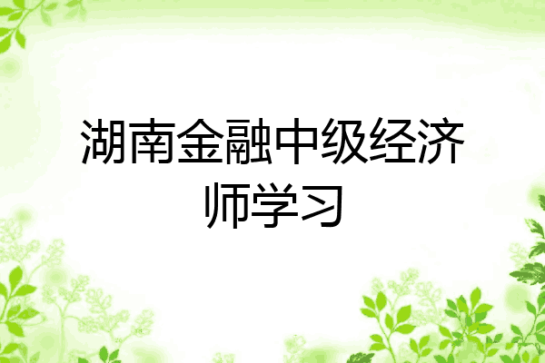 湖南金融中级经济师学习