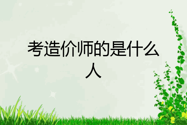 考造价师的是什么人