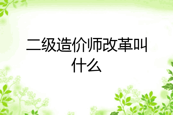 二级造价师改革叫什么