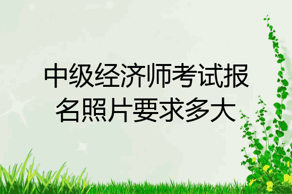 中级经济师考试报名照片要求多大