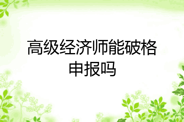 高级经济师能破格申报吗