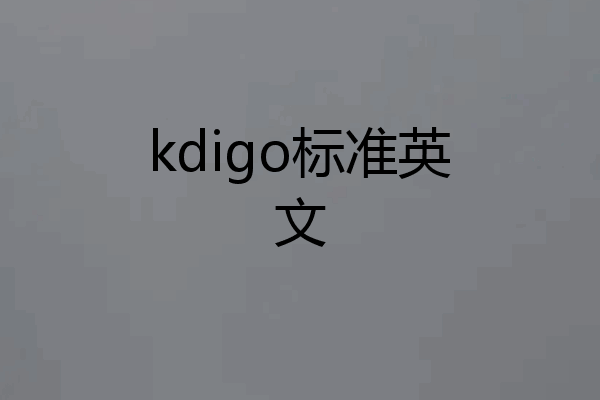 kdigo标准英文