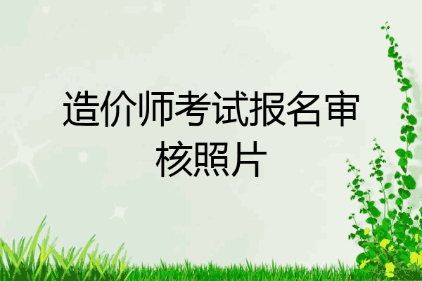 造价师考试报名审核照片