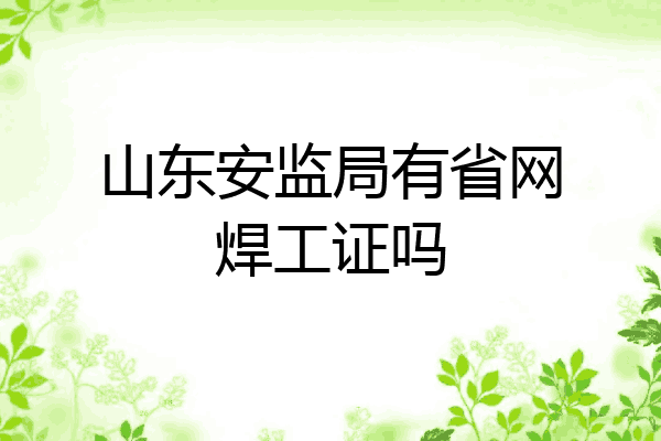 山东安监局有省网焊工证吗