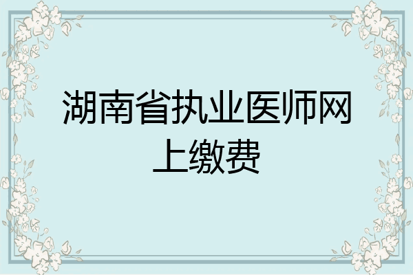 湖南省执业医师网上缴费