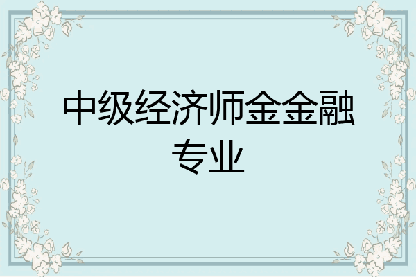 中级经济师金金融专业