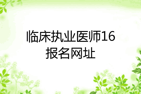 临床执业医师16报名网址
