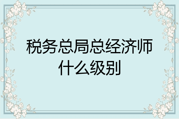 税务总局总经济师什么级别