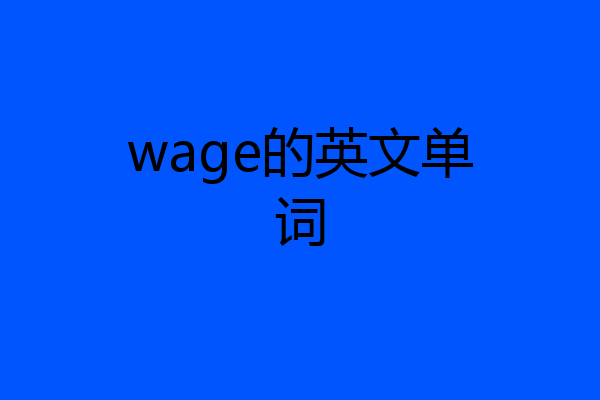 wage的英文单词
