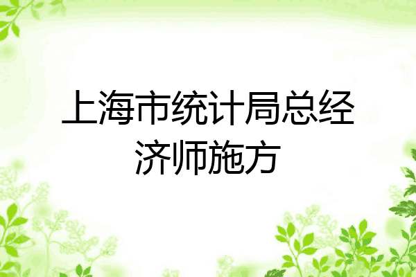 上海市统计局总经济师施方