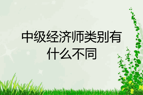 中级经济师类别有什么不同
