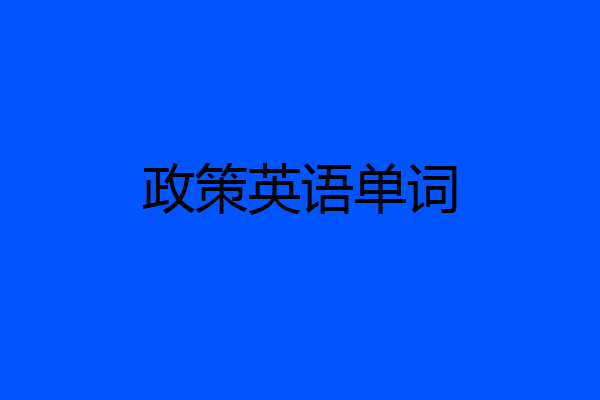 政策英语单词