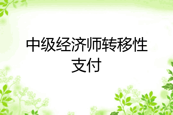 中级经济师转移性支付