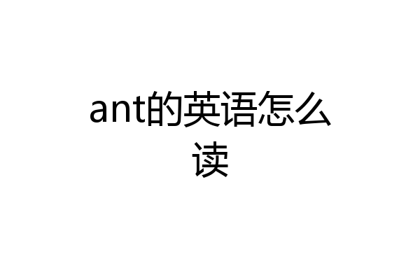 ant的英语怎么读
