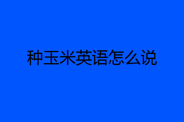 种玉米英语怎么说