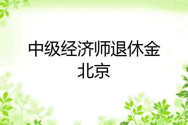 中级经济师退休金北京