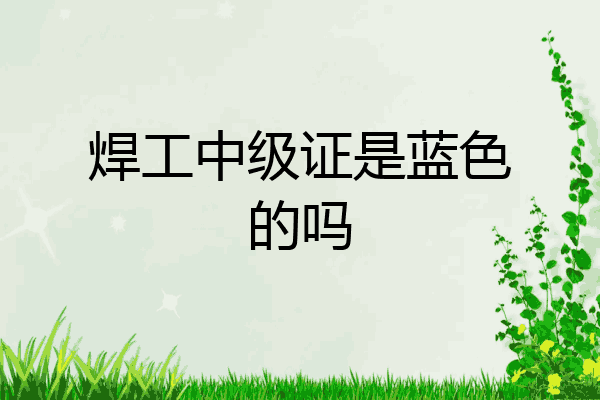 焊工中级证是蓝色的吗