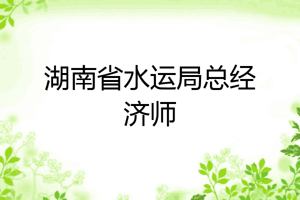 湖南省水运局总经济师