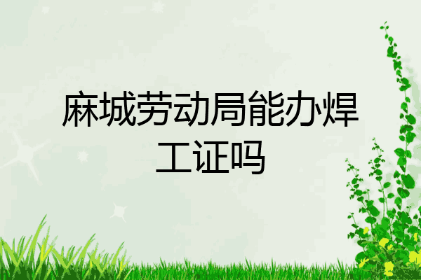 麻城劳动局能办焊工证吗