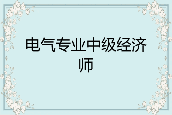 电气专业中级经济师