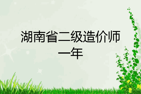 湖南省二级造价师一年