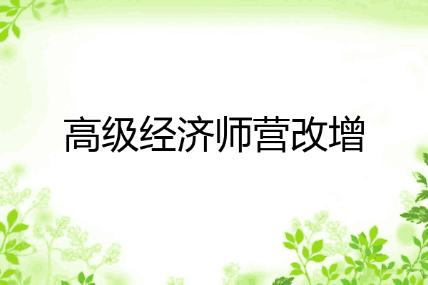 高级经济师营改增