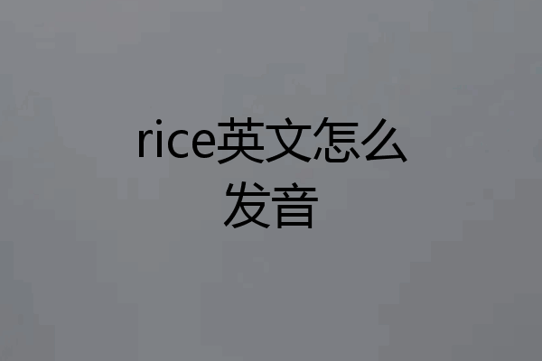 rice英文怎么发音