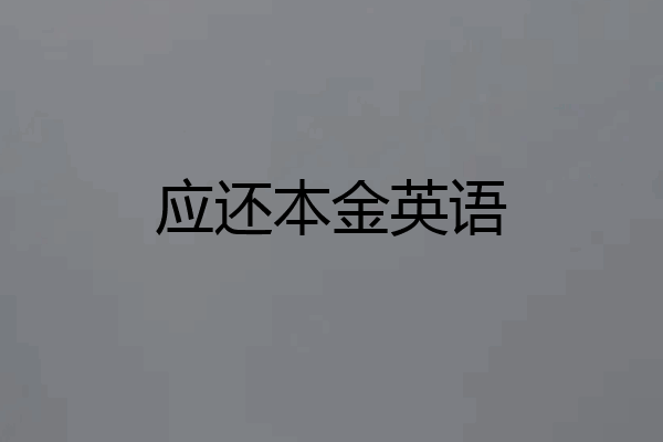 应还本金英语