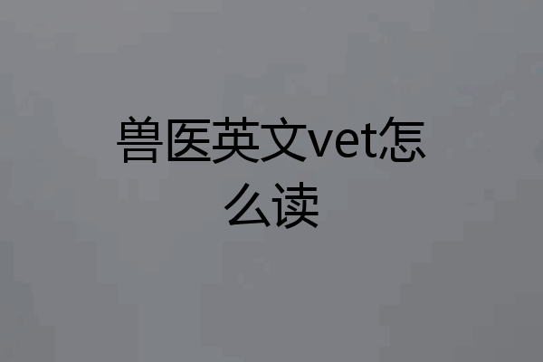 兽医英文vet怎么读