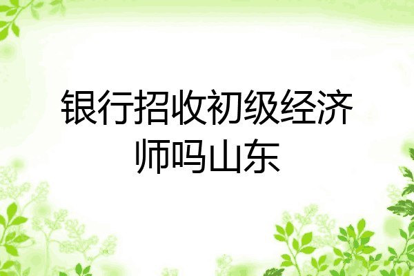 银行招收初级经济师吗山东