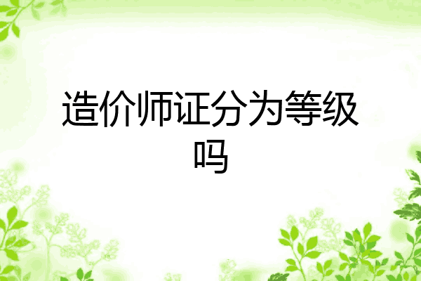 造价师证分为等级吗
