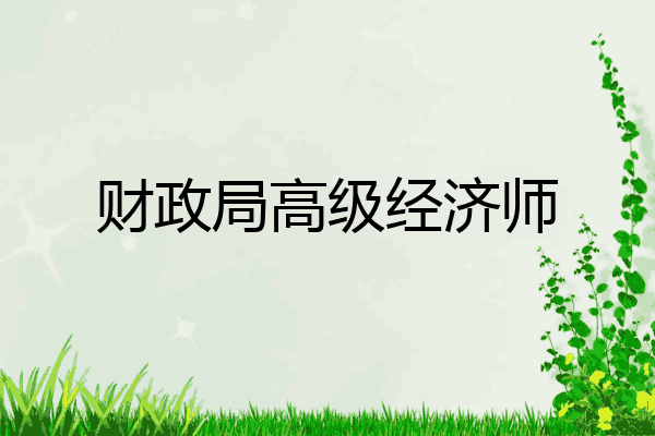 财政局高级经济师