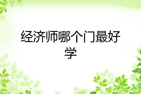 经济师哪个门最好学