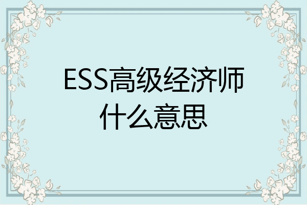 ESS高级经济师什么意思
